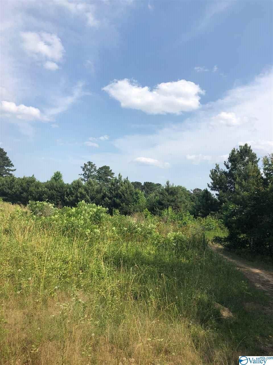 #14 Union Grove Road - Photo 1