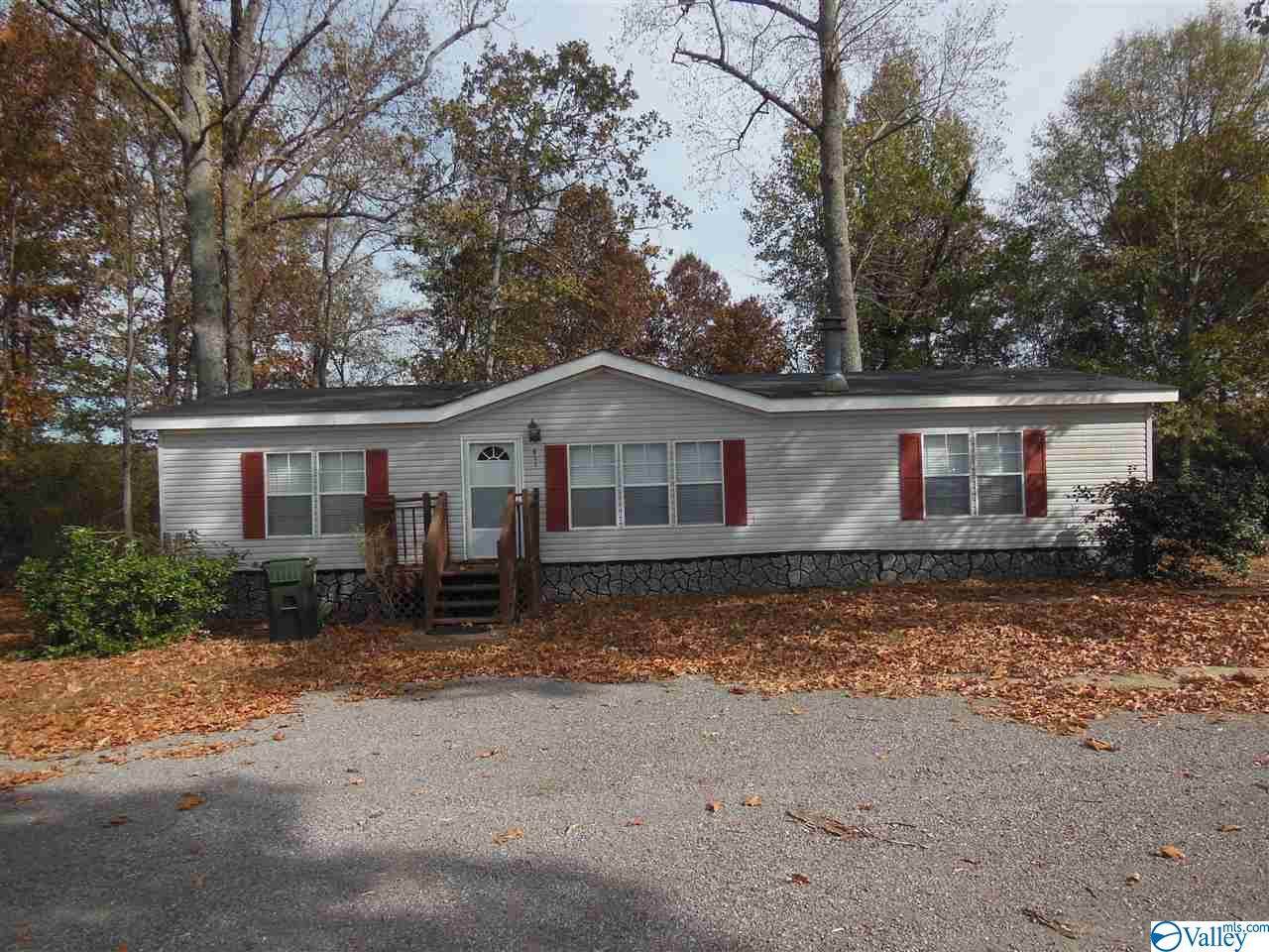 411 Paint Rock Road - Photo 1