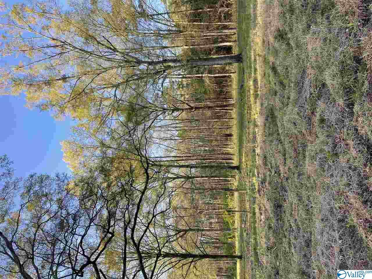 156 Lincoln Avenue - Photo 1