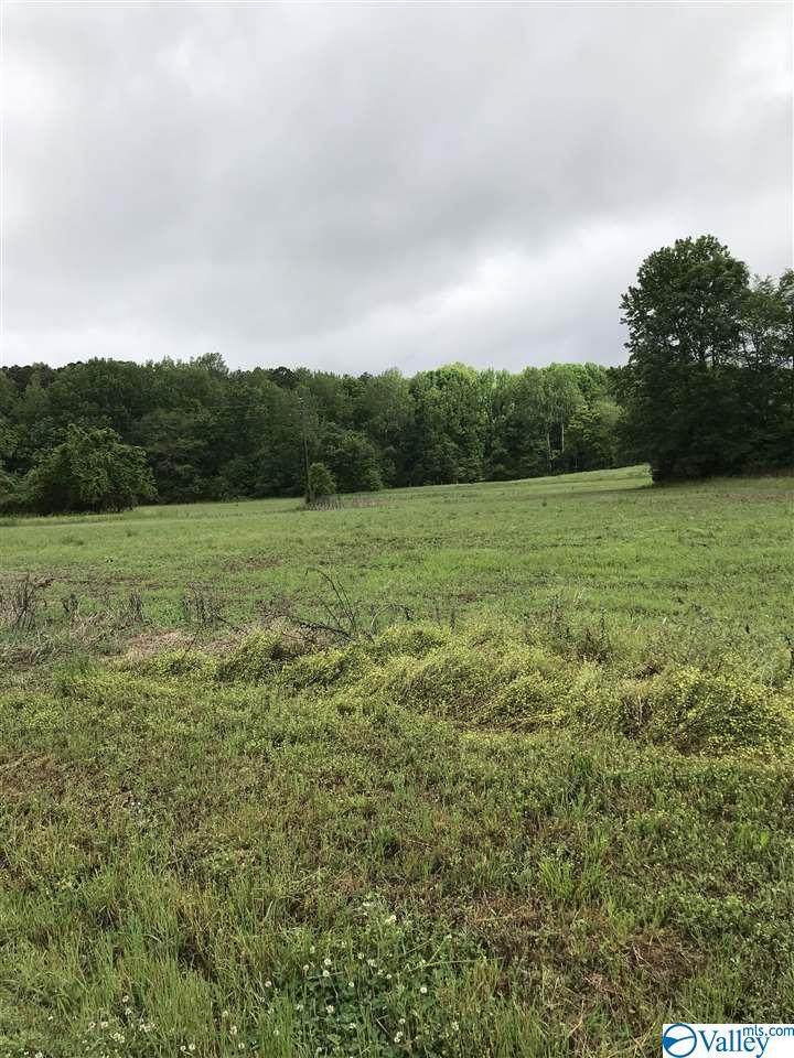 2713 Chavies Road - Photo 1