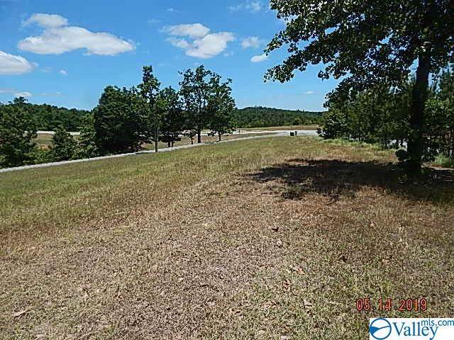 County Road 767 - Photo 1
