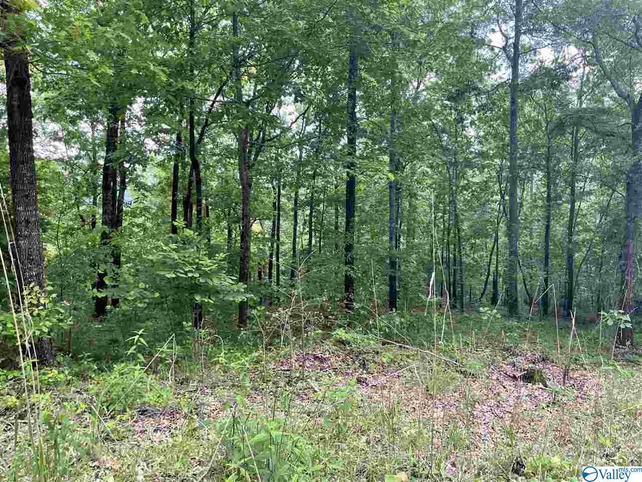 0 Bradford Circle - Photo 1