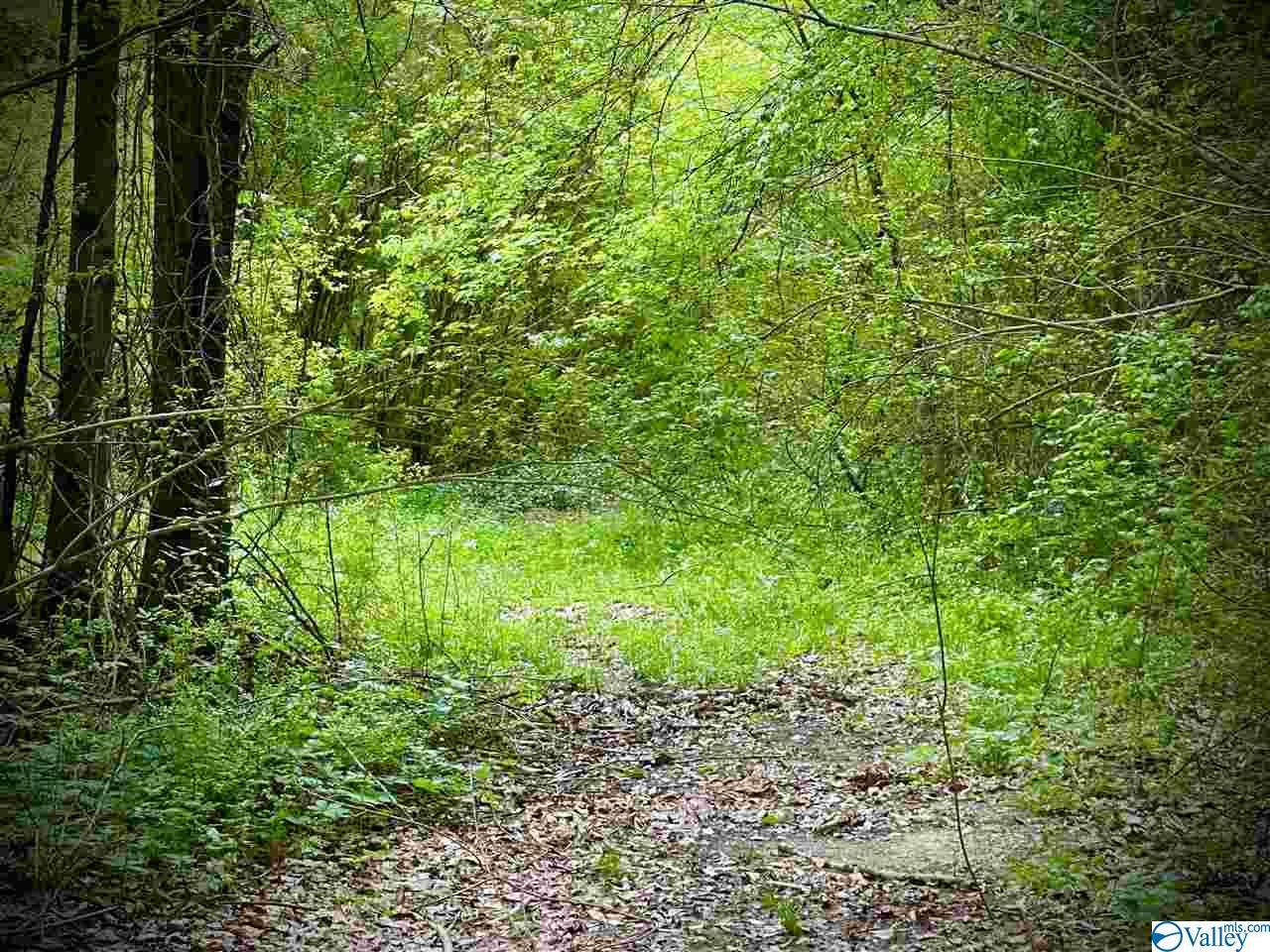 1502 Paul Street - Photo 1