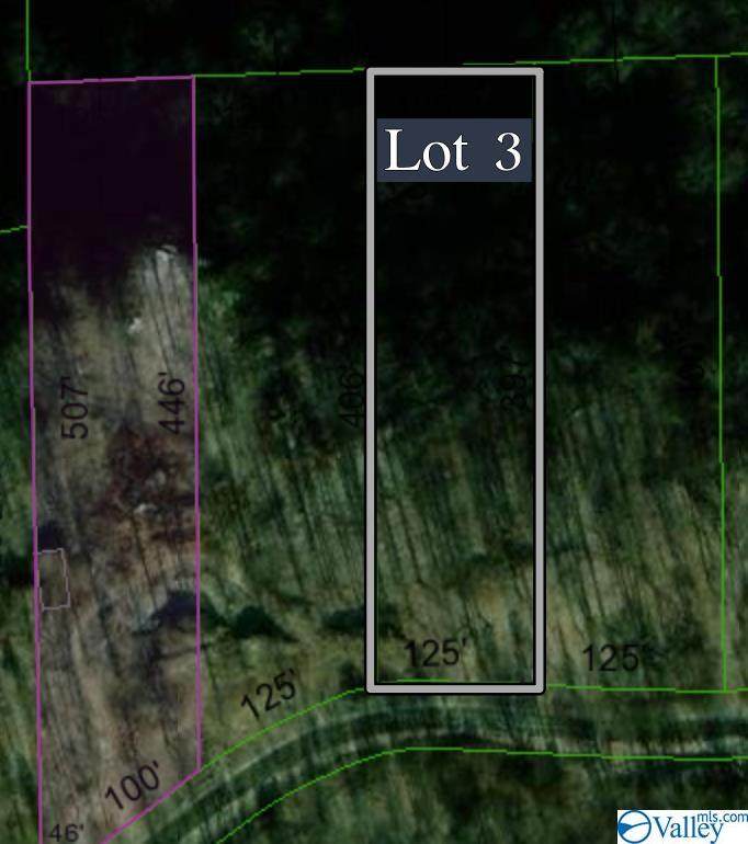 Lot 3 County Road 224 - Photo 1