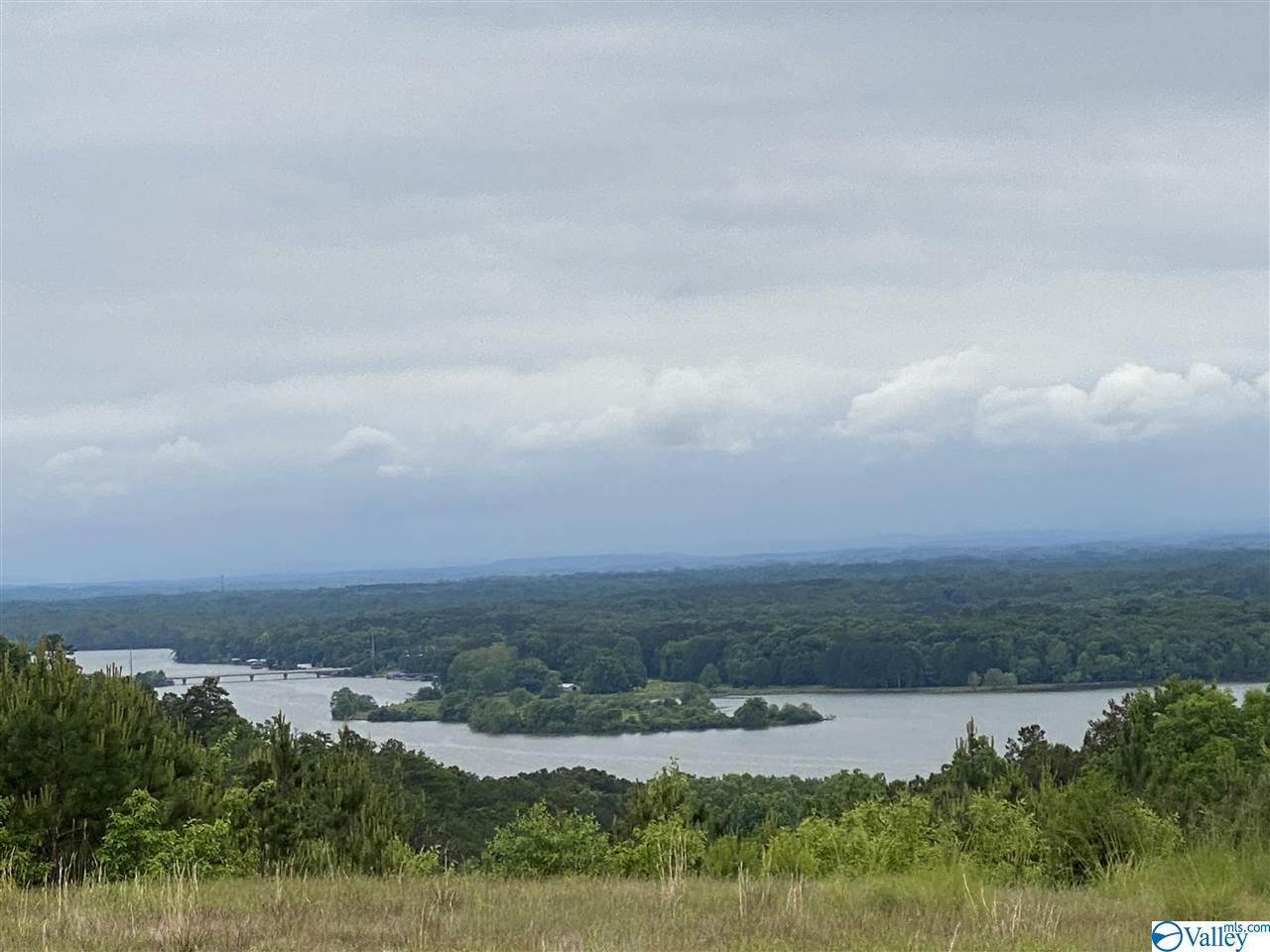 LOT 56 County Road 767 - Photo 1
