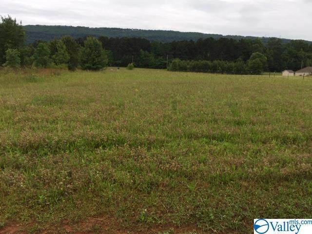 0 Highway 411 - Photo 1