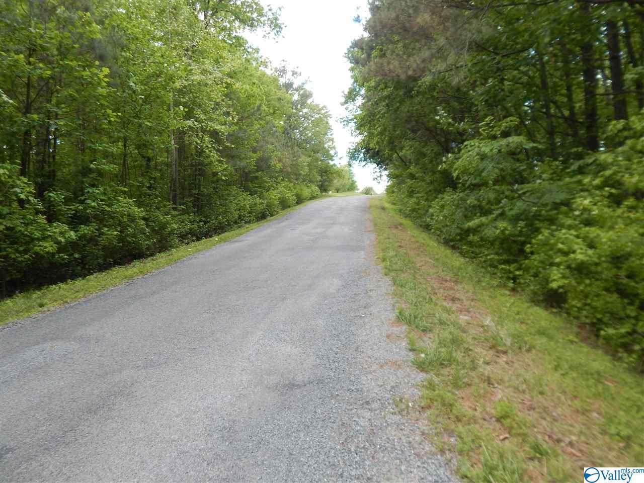 County Road 641 - Photo 1