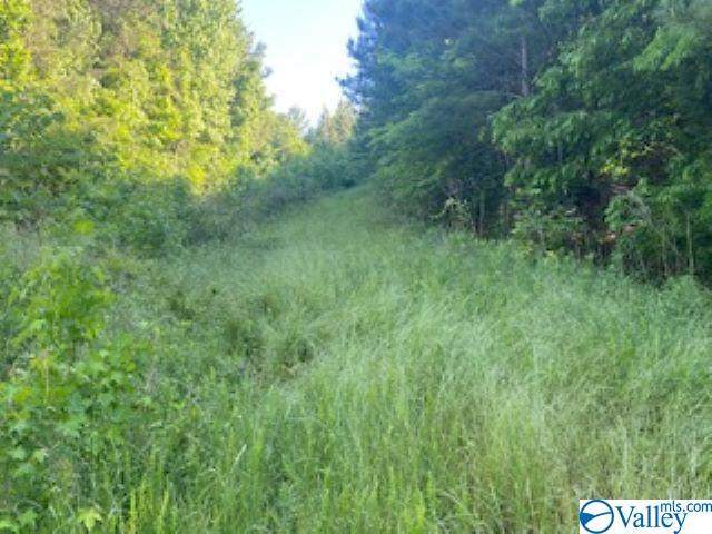 0 Howell Road - Photo 1