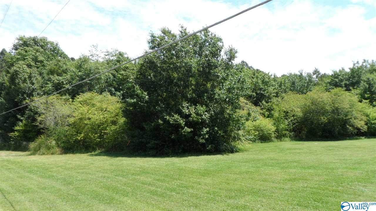 0001 Mimosa Street - Photo 1