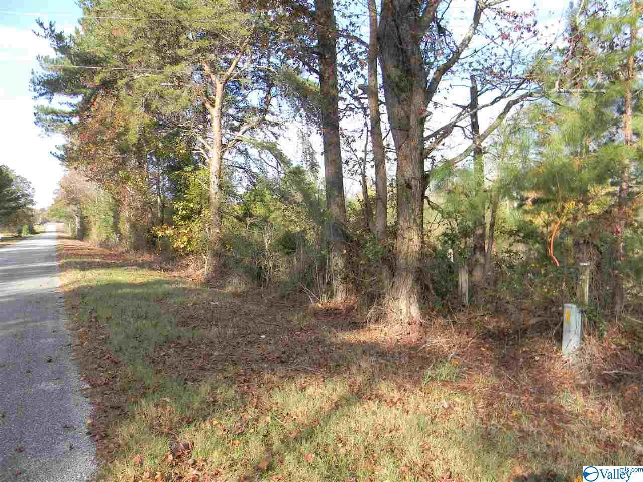 Tract # 6 D County Road 142 - Photo 1