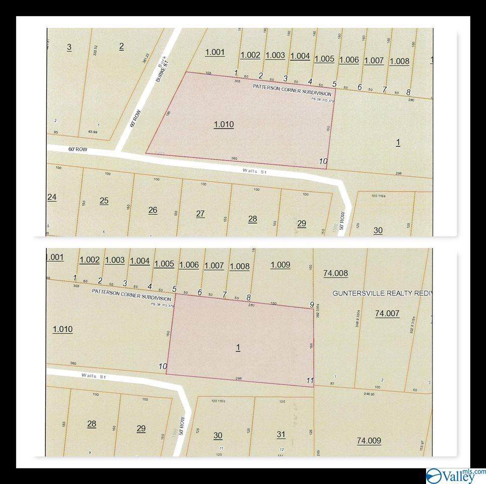 LOT 10&11 Walls Street - Photo 1