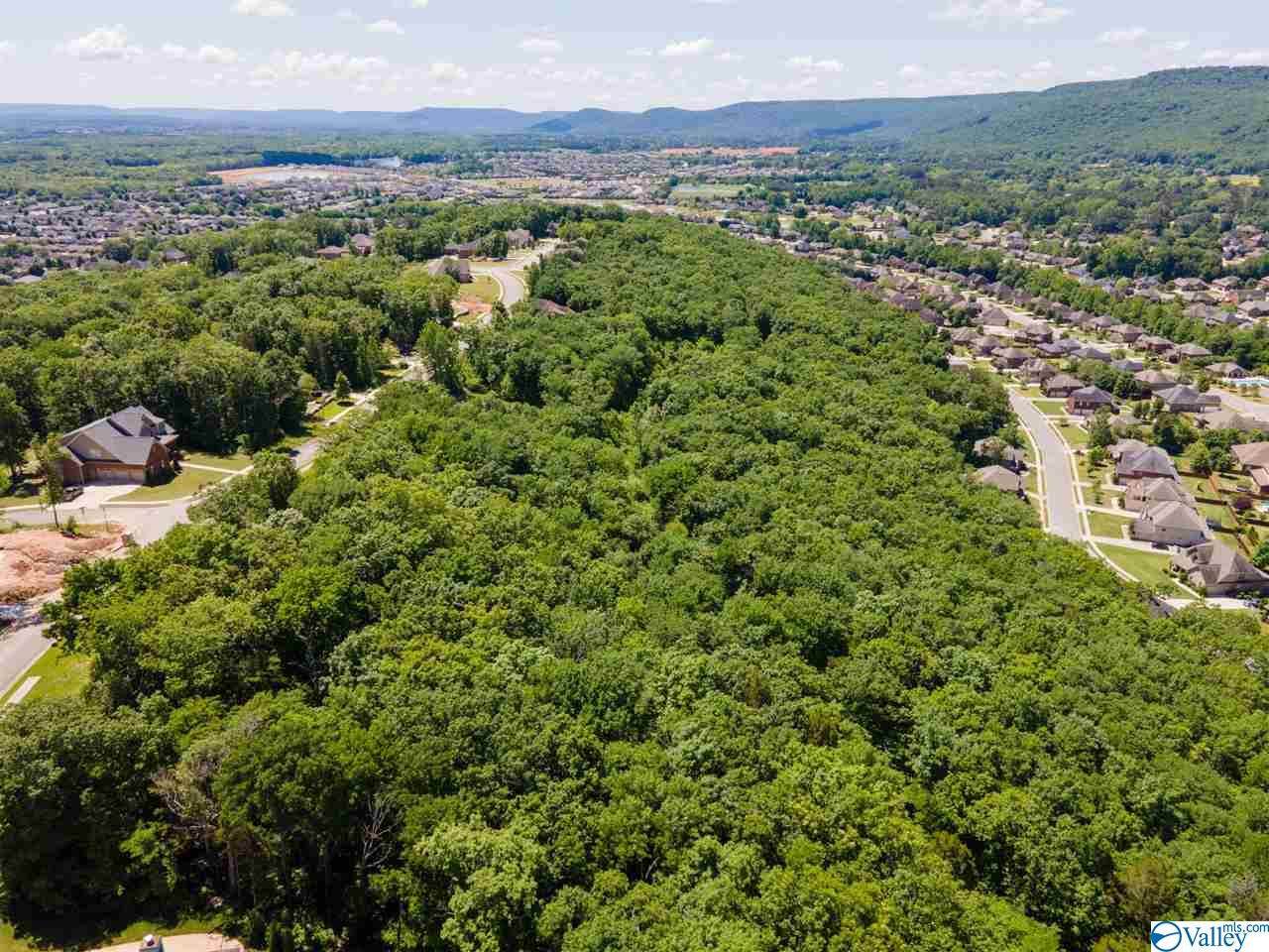 4629 Saddle Ridge Drive - Photo 1