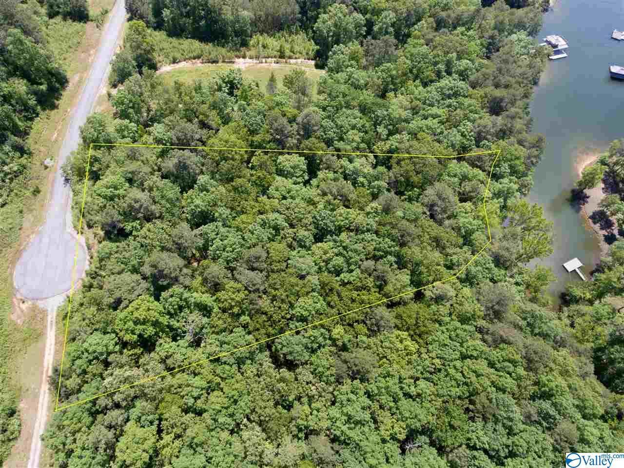 LoT 115 County Road 182 - Photo 1