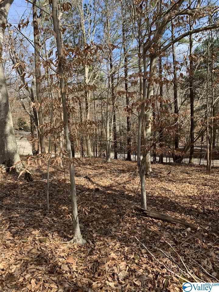 316 Boulder Trail - Photo 1