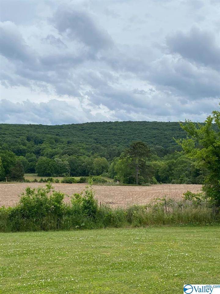 2177 County Lake Road - Photo 1