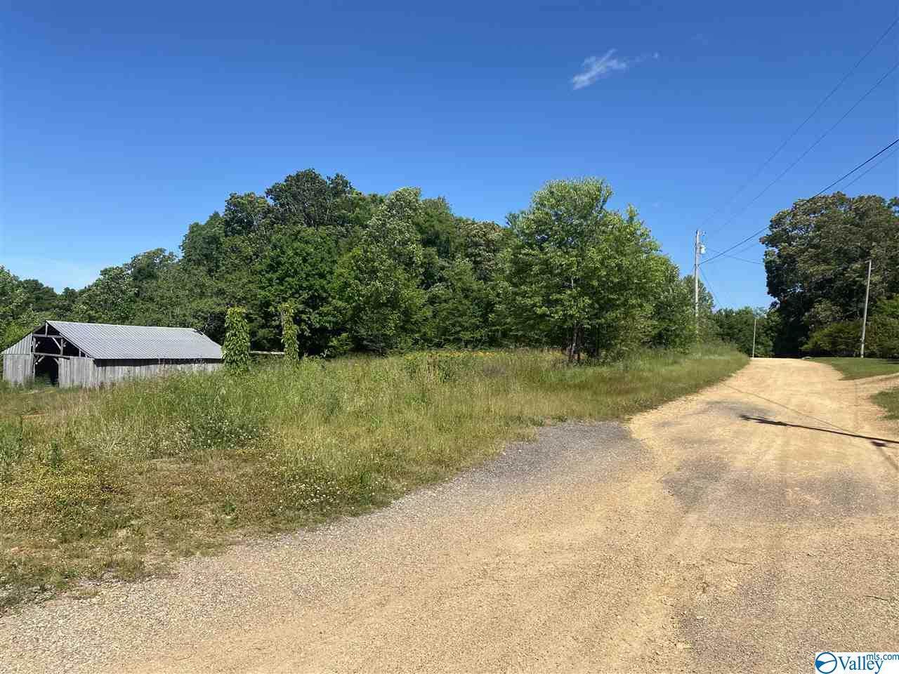 2871 County Road 130 - Photo 1