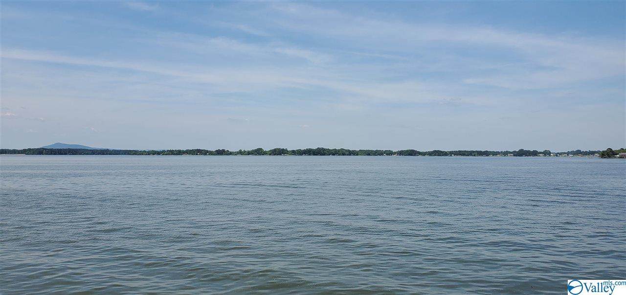 1154 County Road 212 - Photo 1