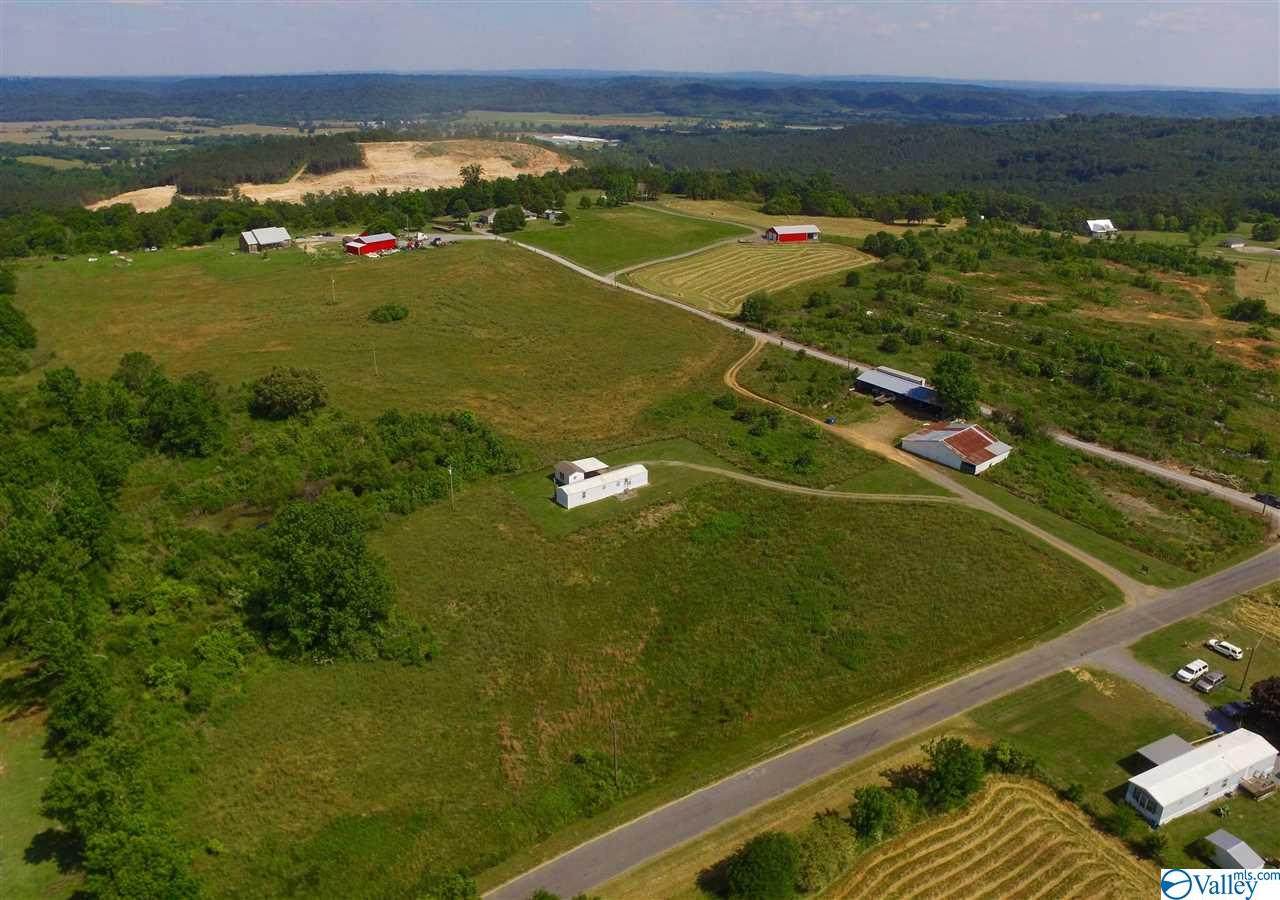 1633 Feemster Gap Road - Photo 1