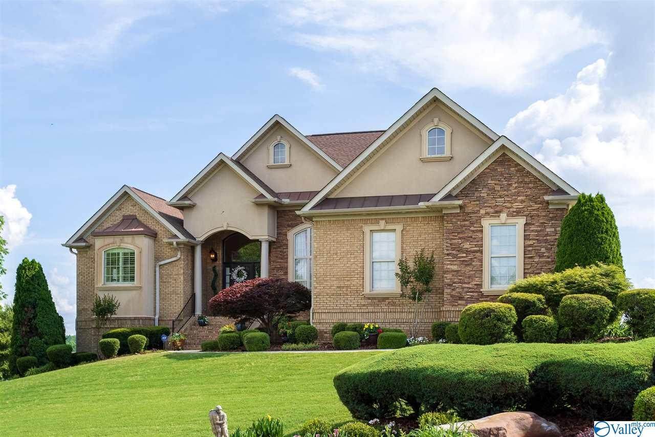 24225 Piney Creek Drive - Photo 1