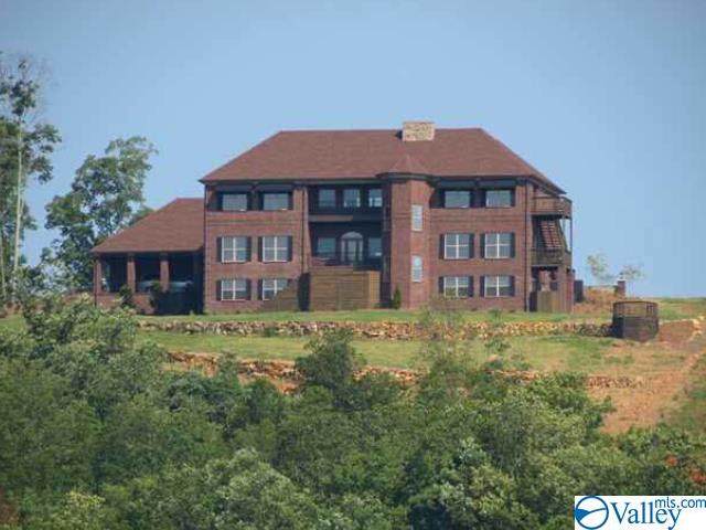 419 Hummingbird Way - Photo 1