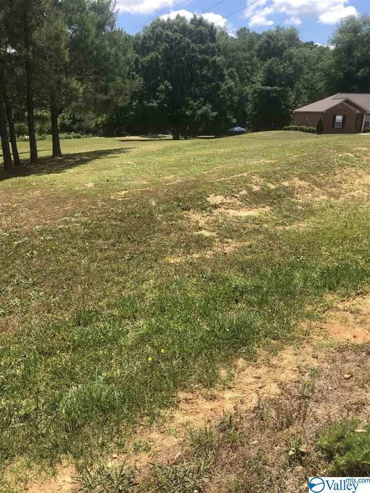 0 Brush Creek Drive - Photo 1