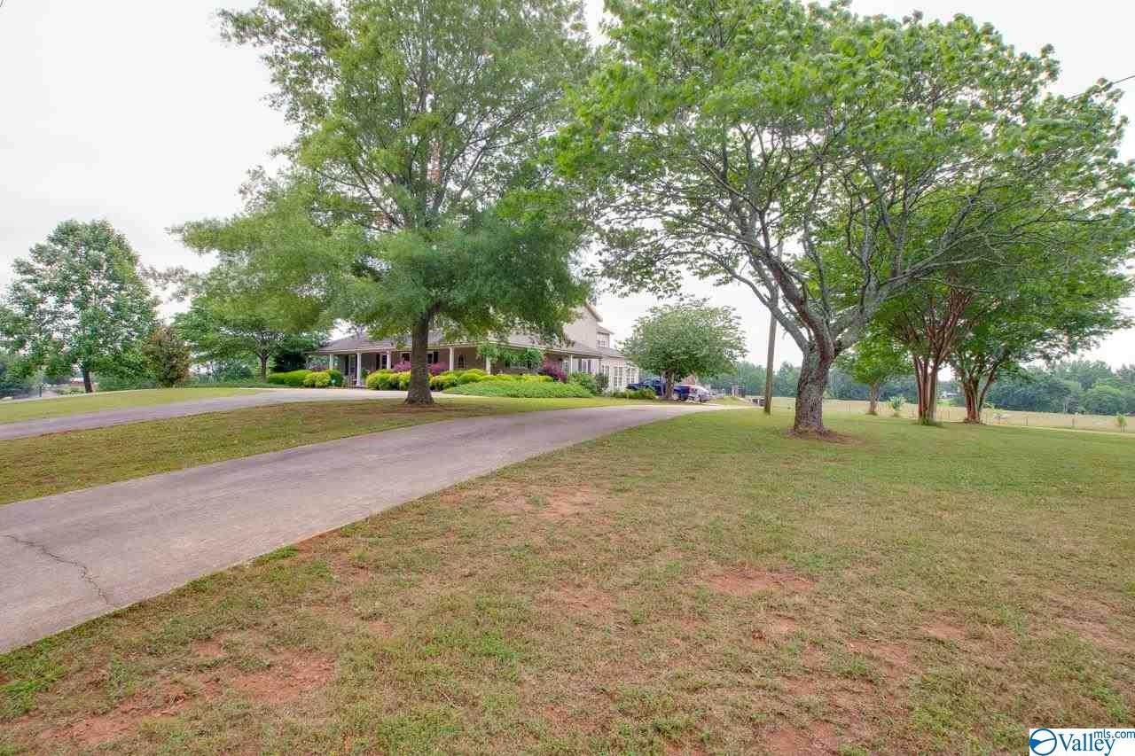 25272 Copeland Road - Photo 1