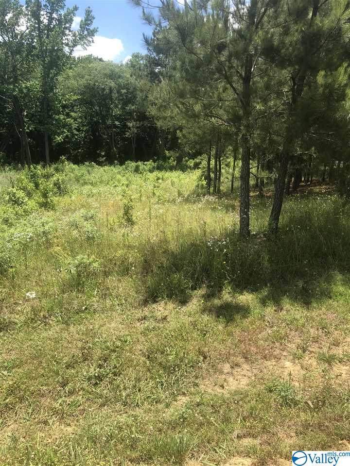 00 Brush Creek Drive - Photo 1