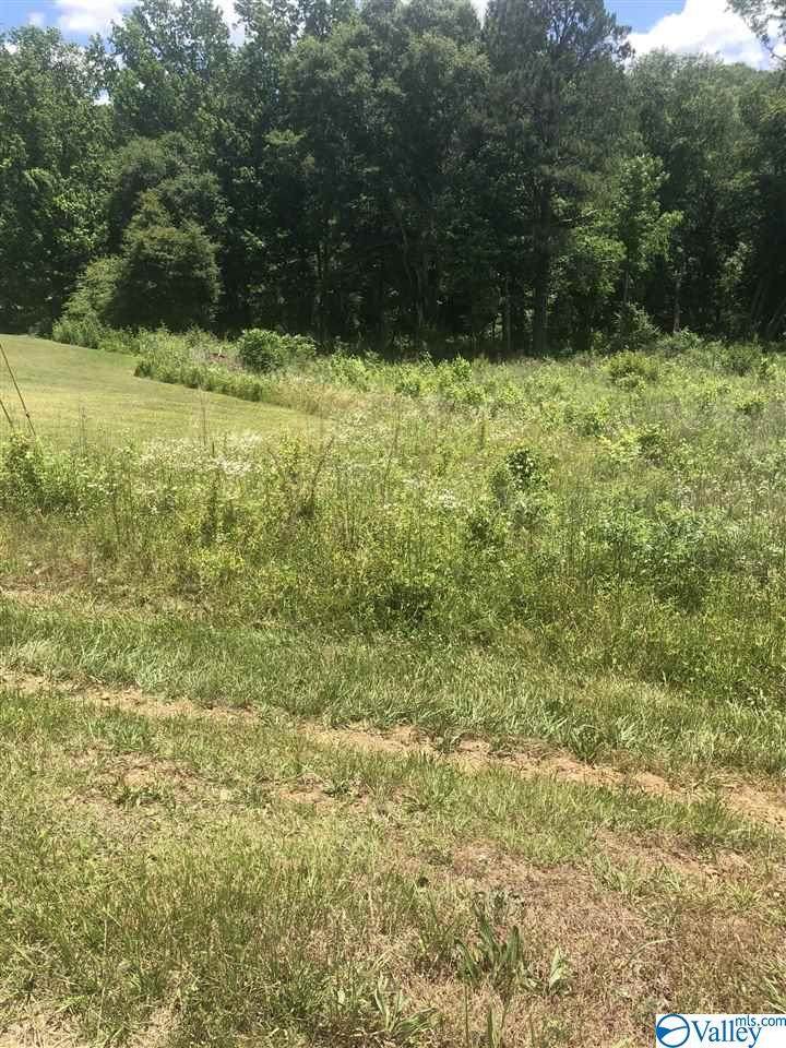 000 Brush Creek Drive - Photo 1