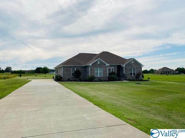 12525 Vanzille Lane - Photo 1