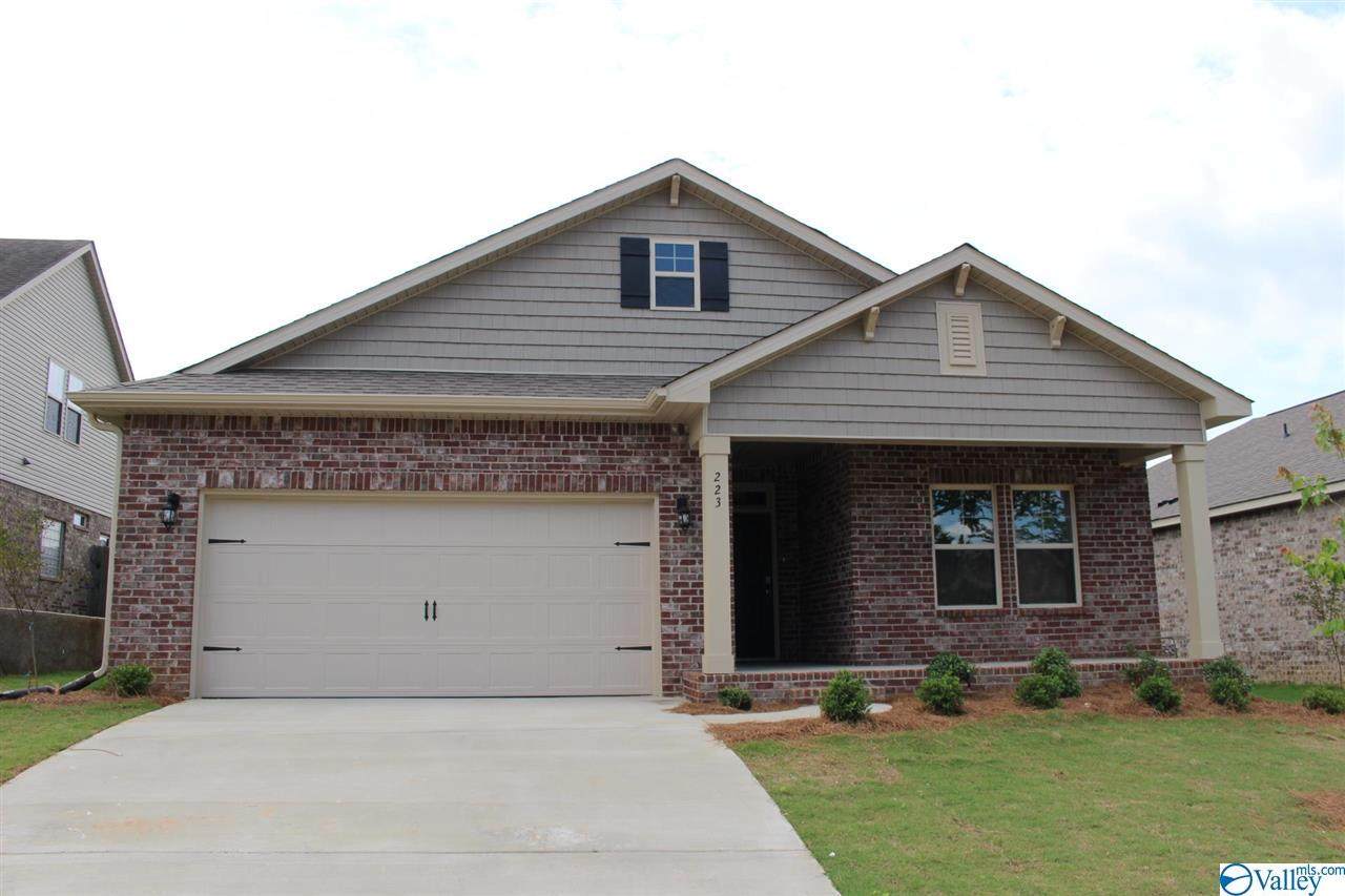 223 Ivyleaf Drive - Photo 1