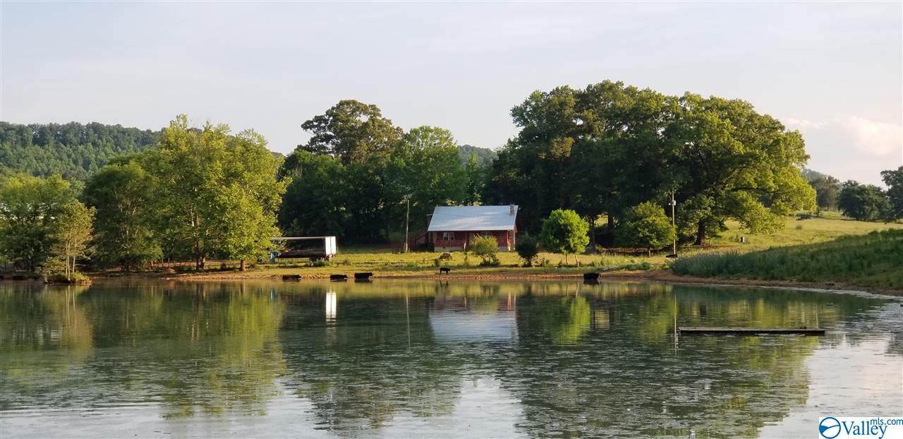 310 County Road 530 - Photo 1