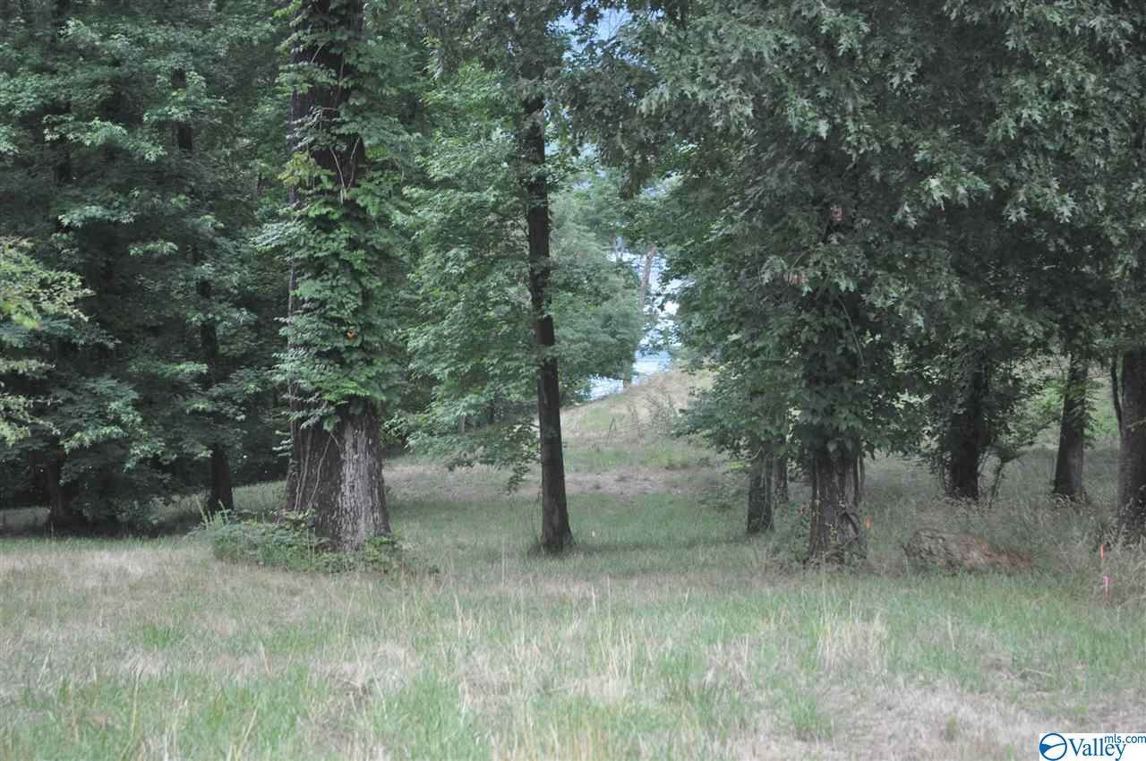 2249 Lookout Mountain Drive - Photo 1