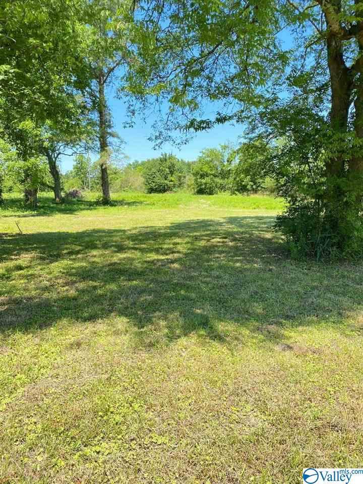 355 County Road 449 - Photo 1