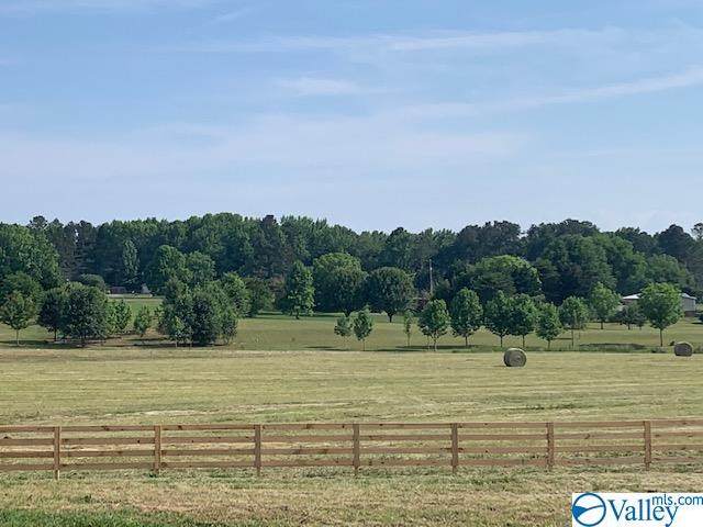 415 Wilbanks Road - Photo 1