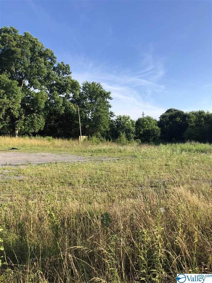 2411 Thomason Road - Photo 1