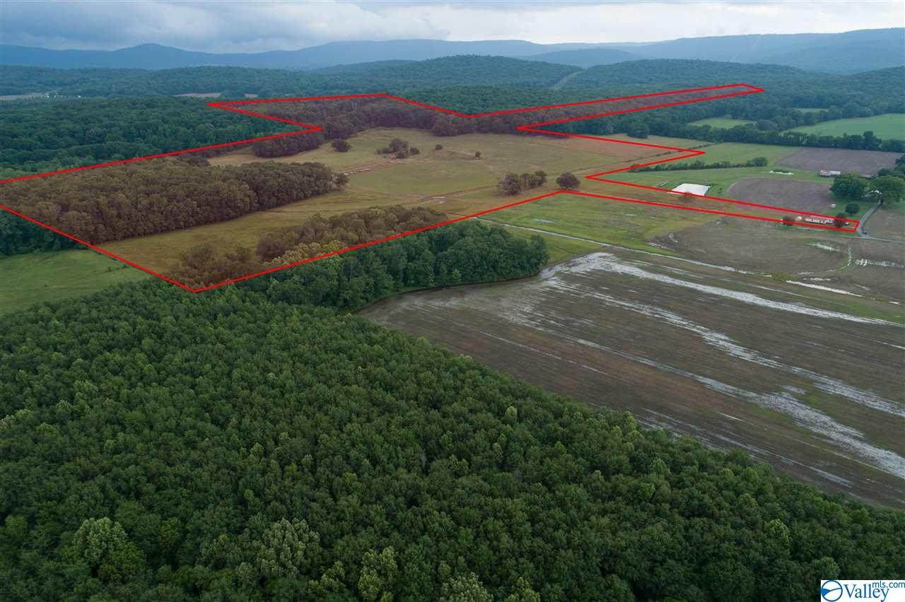 132 County Road 753 - Photo 1
