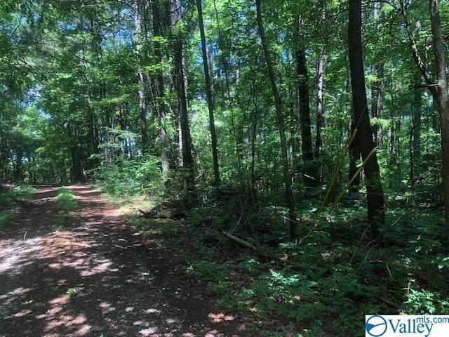 0 Harris Mountain Drive - Photo 1