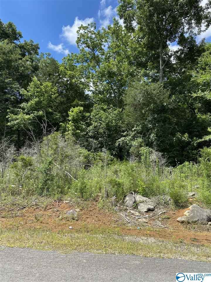 0 County Road 220 - Photo 1