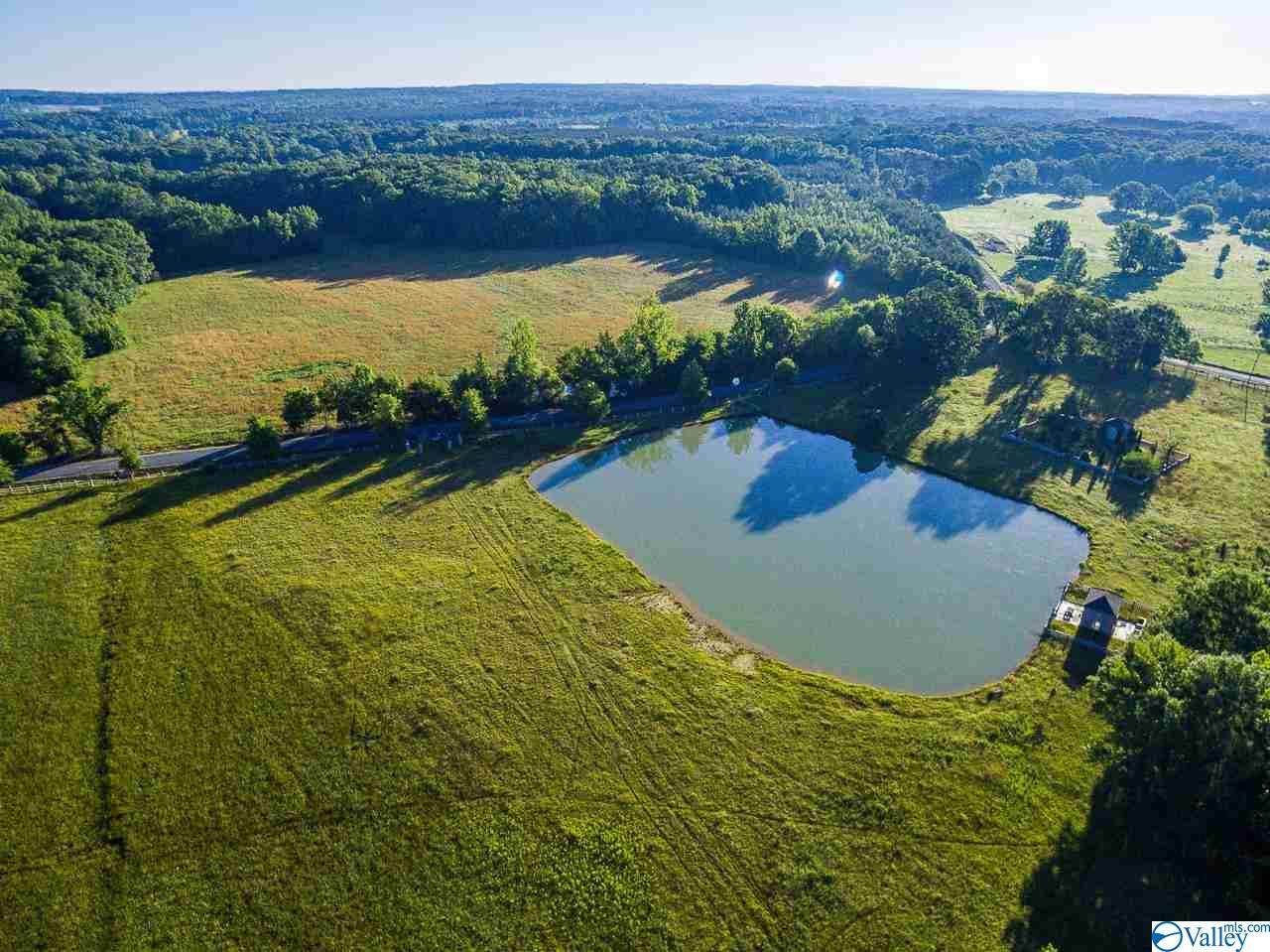 898 County Road 321 - Photo 1