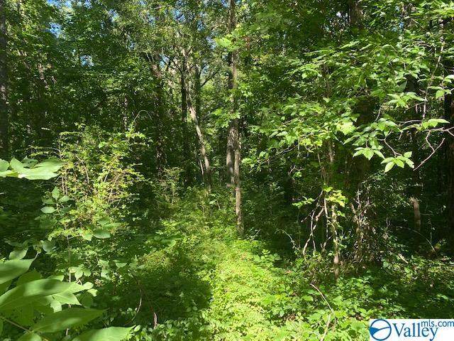 0000 Forest Chapel Road - Photo 1