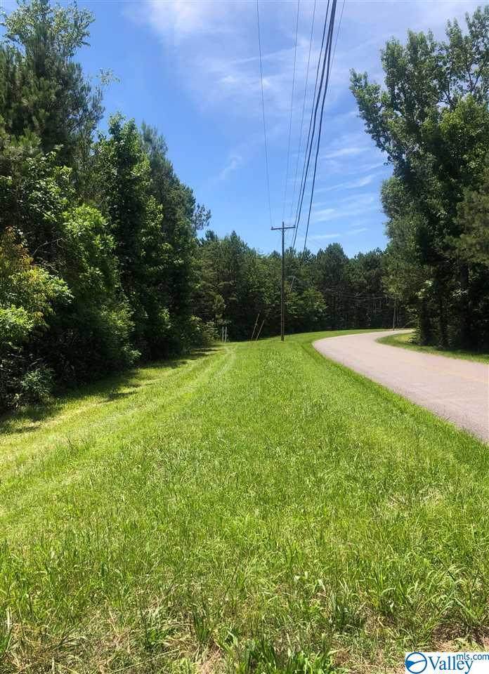 0 Wyeth Mountain Road - Photo 1