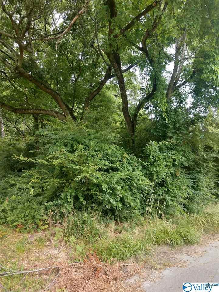 0 Hill Avenue - Photo 1
