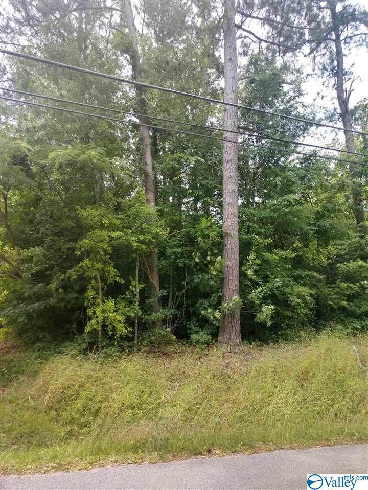0 Riveroak Drive - Photo 1
