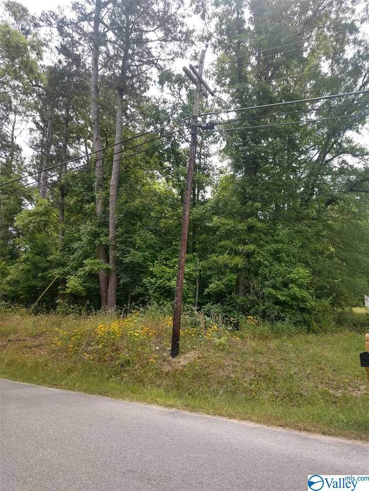 0 Macon Drive - Photo 1