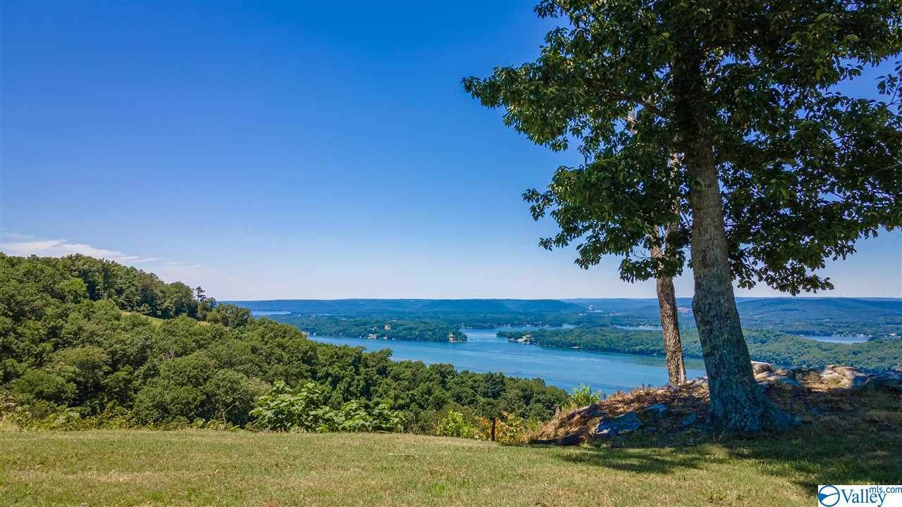 0 Scenic Drive - Photo 1