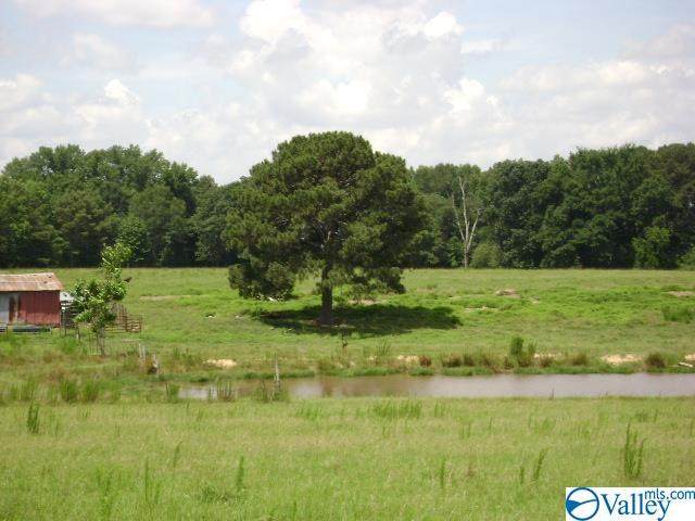 TRACT 2 Rockyford Road - Photo 1