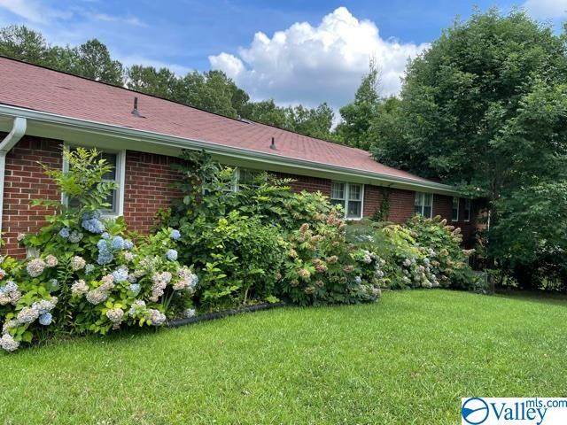 137 Malene Avenue - Photo 1