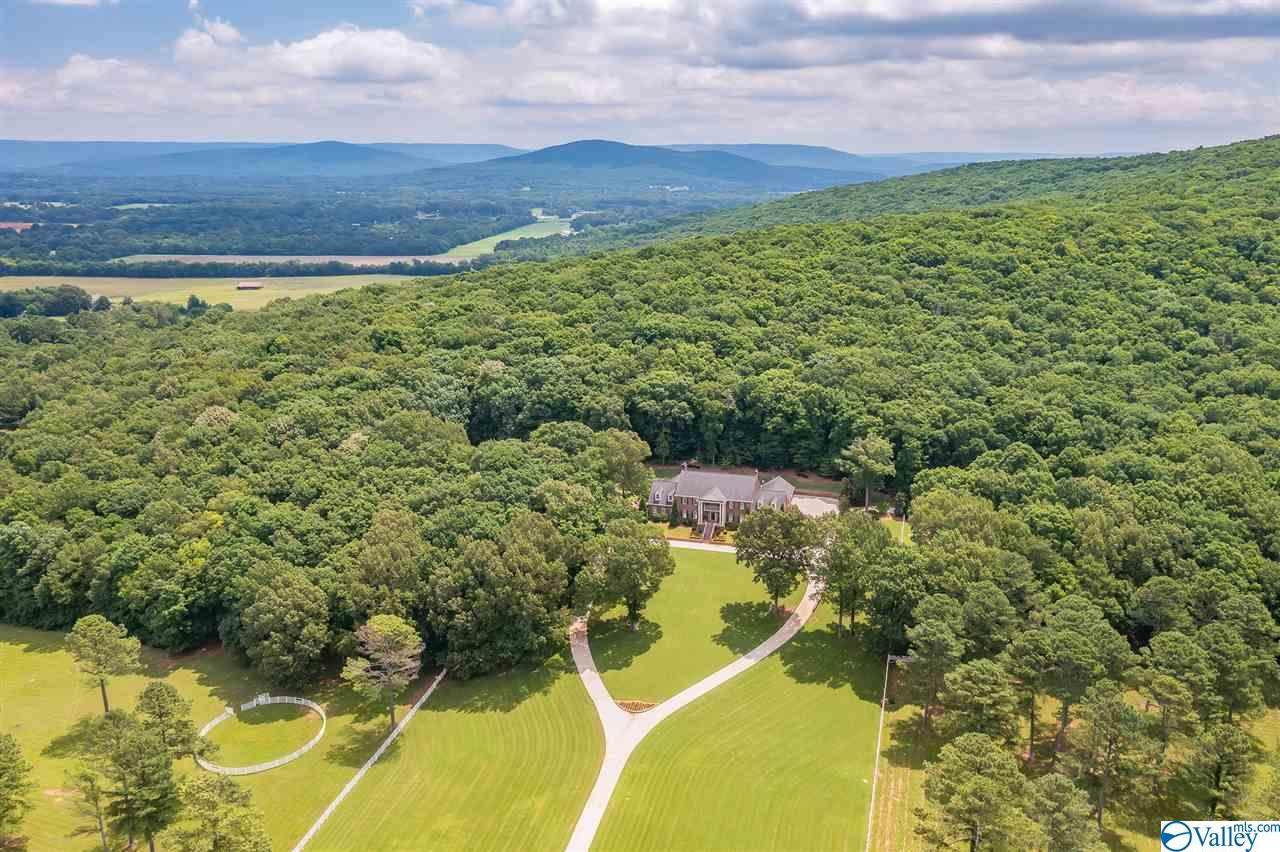 2200 Dug Hill Road - Photo 1