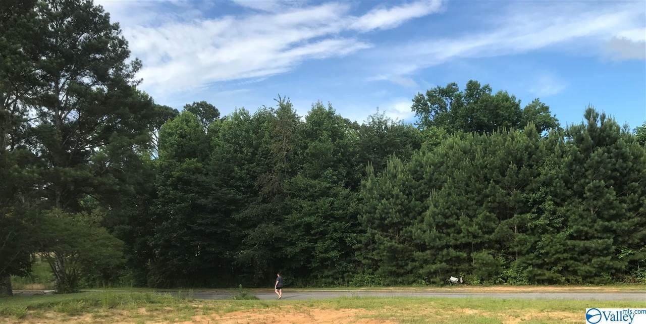 0 Mountain Crest Drive - Photo 1