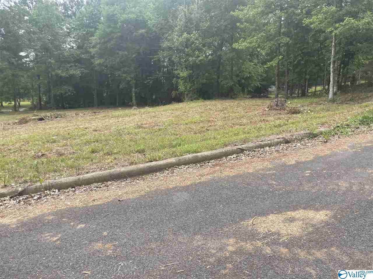 0 Cade Circle - Photo 1